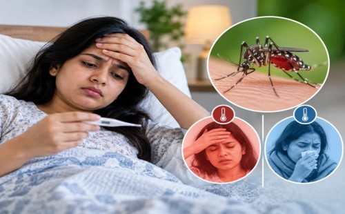 ডেঙ্গুর ভয়াল রূপ দেখছে ফেনীবাসী