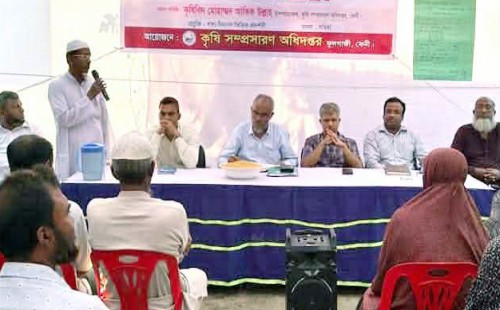ফুলগাজীতে কৃষকদের নিয়ে মাঠ দিবস অনুষ্ঠিত