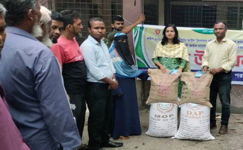 পরশুরামে কৃষকদের মাঝে সার ও বীজ বিতরণ