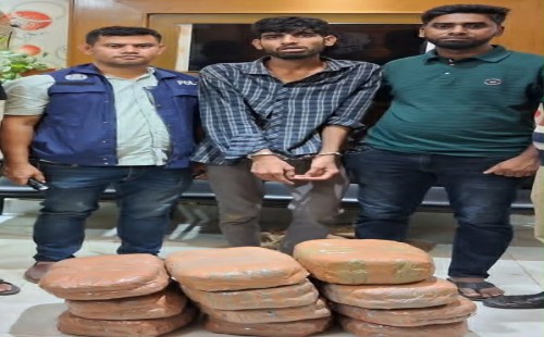 ফুলগাজীতে গাঁজাসহ যুবককে পুলিশে সোপর্দ
