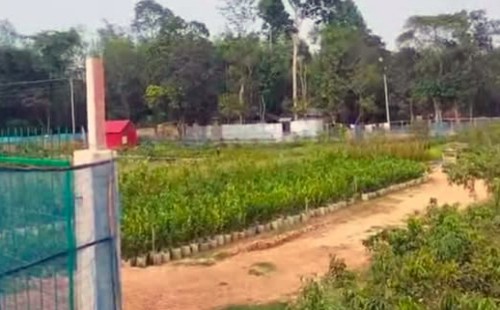 পরশুরামের বিলোনিয়ায় খেলার মাঠ দখল করে নার্সারি, এলাকাবাসীর ক্ষোভ