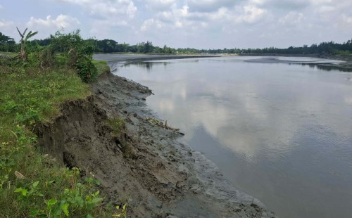 ছোট ফেনী নদীর তীব্র ভাঙনে দিশেহারা নদীপাড়ের মানুষ