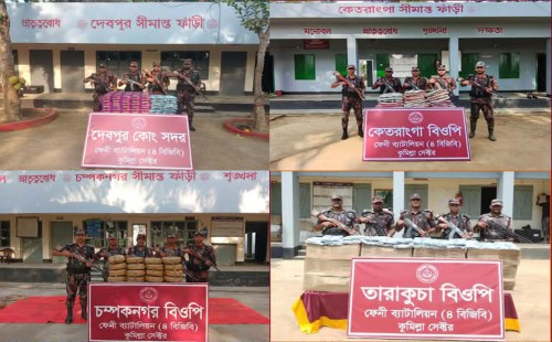 ফেনী সীমান্তে ৪৮ লক্ষ ৮৩ হাজার গাঁজাসহ বিপুল পরিমান ভারতীয় চোরামাল জব্দ