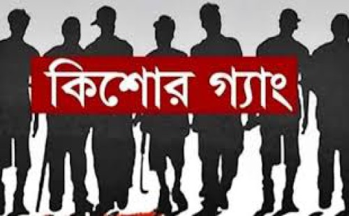 দাগনভূঞার মূর্তিমান আতংক কিশোর গ্যাং,  আইনশৃঙ্খলার চরম অবনতি