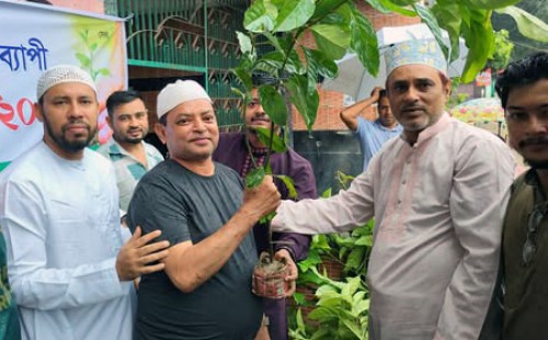 আস-সালাম ফাউন্ডেশনের ব্যতিক্রমী আয়োজন  চৌদ্দগ্রামে জুমার নামাজে আগত প্রথম শত মুসল্লি পেলেন গাছ