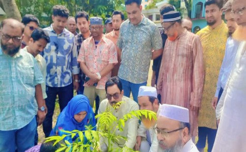 ফেনী জেলা পরিষদ’র বৃক্ষরোপণ কর্মসূচির উদ্বোধন