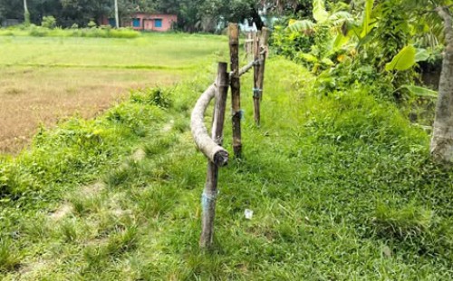 চৌদ্দগ্রামে রাস্তায় বাঁশ ও গাছের খুুঁটির বেড়া  ১৫ পরিবারের ভোগান্তি!