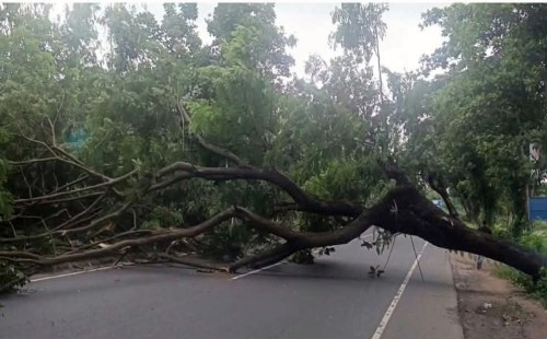 আসলাম চৌধুরীর প্রার্থিতা বাতিলের প্রতিবাদে   ঢাকা-চট্টগ্রাম মহাসড়ক অবরোধ