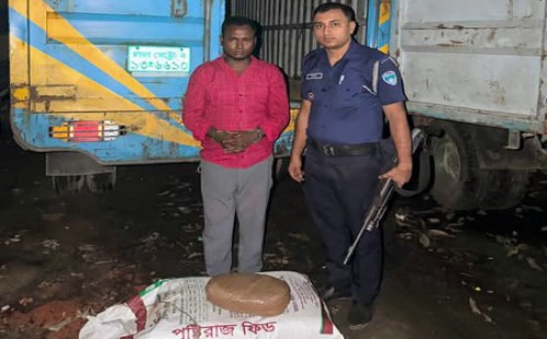 চৌদ্দগ্রামে পুলিশের অভিযানে ৩৬ কেজি গাঁজাসহ আটক-৩