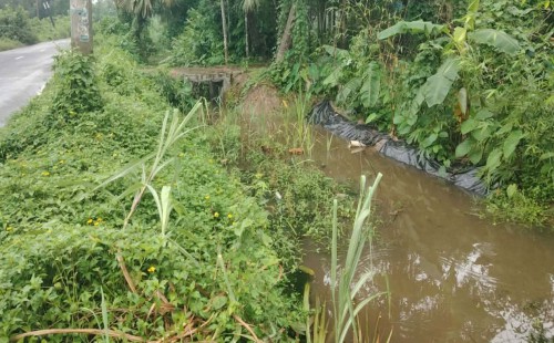 দাগনভূঞায় খাল খনন না করেই বরাদ্দ তোলার অভিযোগ তদন্ত চেয়ে ডিসিকে আবেদন