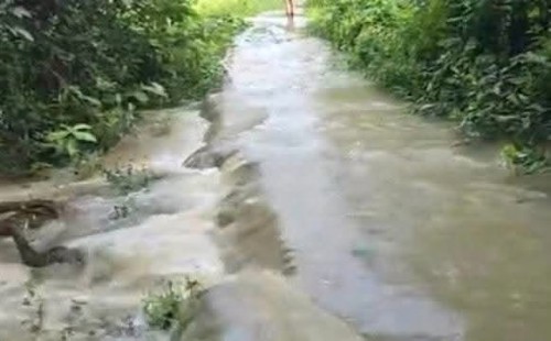মুহুরী নদীর পানি বিপৎসীমা ছুঁই ছুঁই,  বাঁধ উপচে লোকালয়ে ঢ়ুকছে পানি