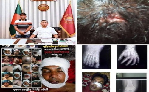 দলের দুঃসময়ের ত্যাগীদের মূল্যায়ন হবে   হাবিবকে প্রধানমন্ত্রীর আশ্বাস
