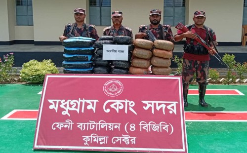 ছাগলনাইয়ায় বিজিবির অভিযান   সাড়ে ৬৩ কেজি গাঁজা জব্দ