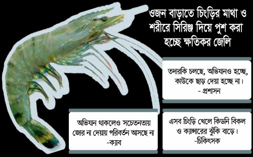 ফেনীতে স্বাধের চিংড়িতে বিষ!