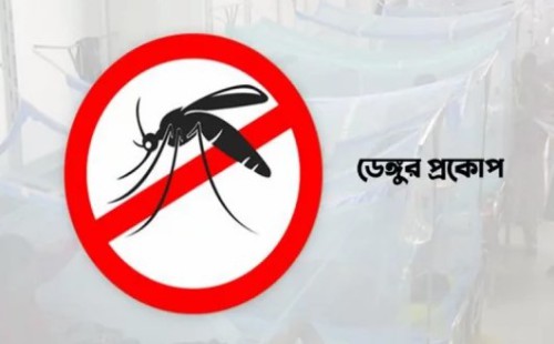 ফেনীতে বাড়ছে ডেঙ্গুর ভয়াবহতা  মাসের ব্যবধানে ফেনীতে দ্বিগুন হয়েছে রোগী